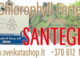 Peržiūrėti skelbimą - Santegra Chlorophyll Forte GP 90 kaps
